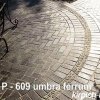 P609 Тротуарная плитка